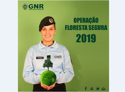 Foto de Operação Floresta Segura 2019