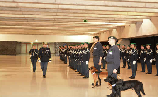 Foto de Cerimónia do Dia da Unidade do Comando Territorial dos Açores