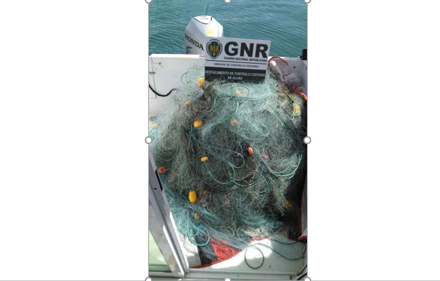 Foto de Olhão – Rede de pesca com 1000 metros apreendida