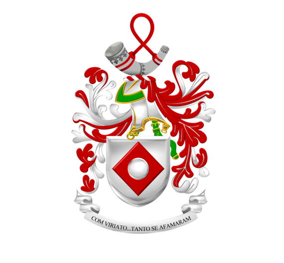 Foto de Dia da Unidade do Comando Territorial de Viseu                                                      