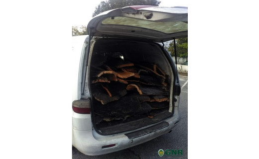 Foto de Alcácer do Sal – 2 detidos por furto de cortiça