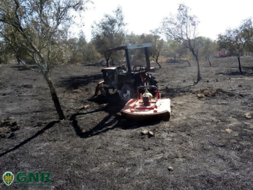 Foto de Grândola – Dois detidos pelo crime de incêndio florestal