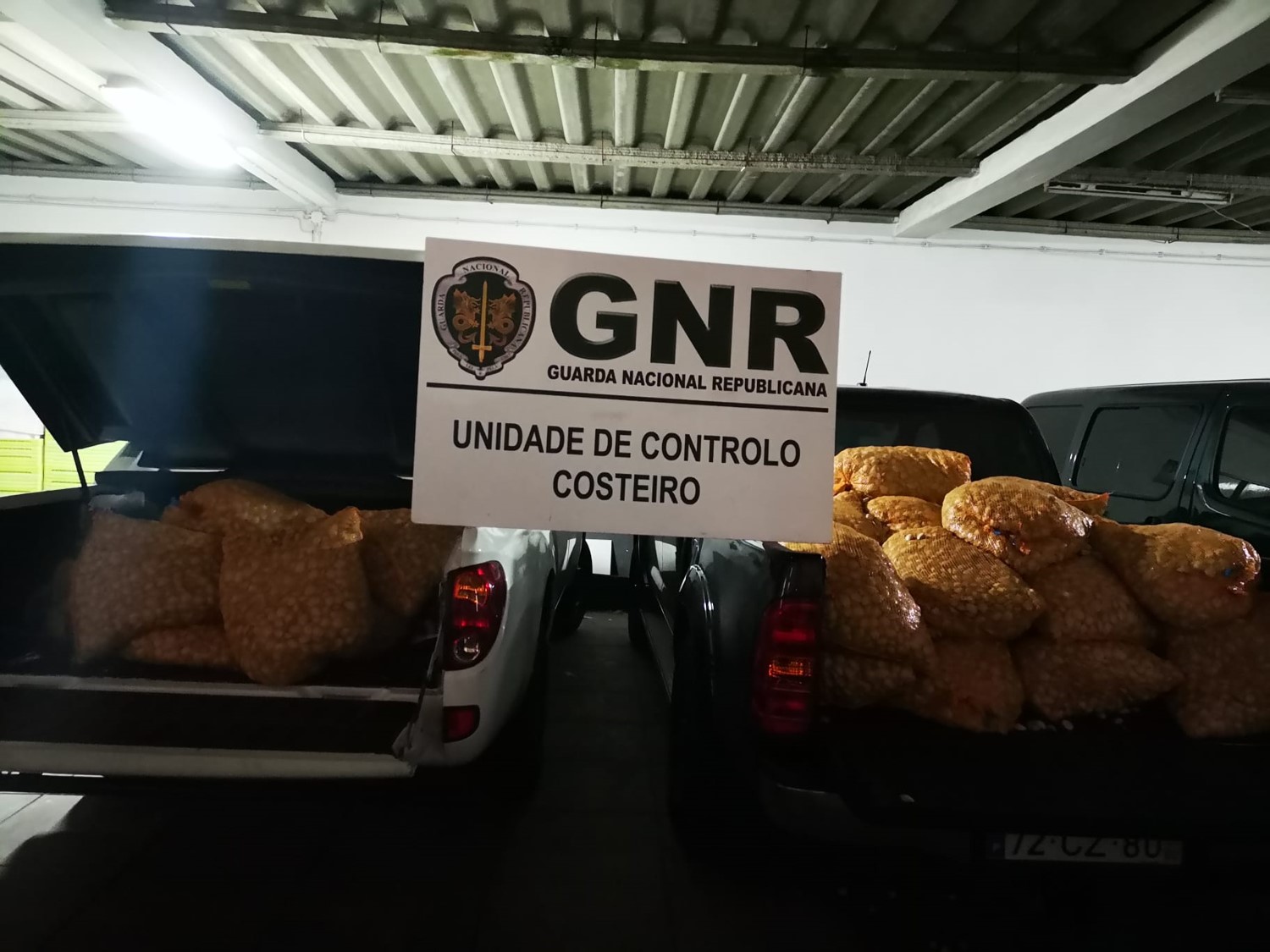 Foto de Matosinhos – Apreensão de mais de uma tonelada de amêijoa branca