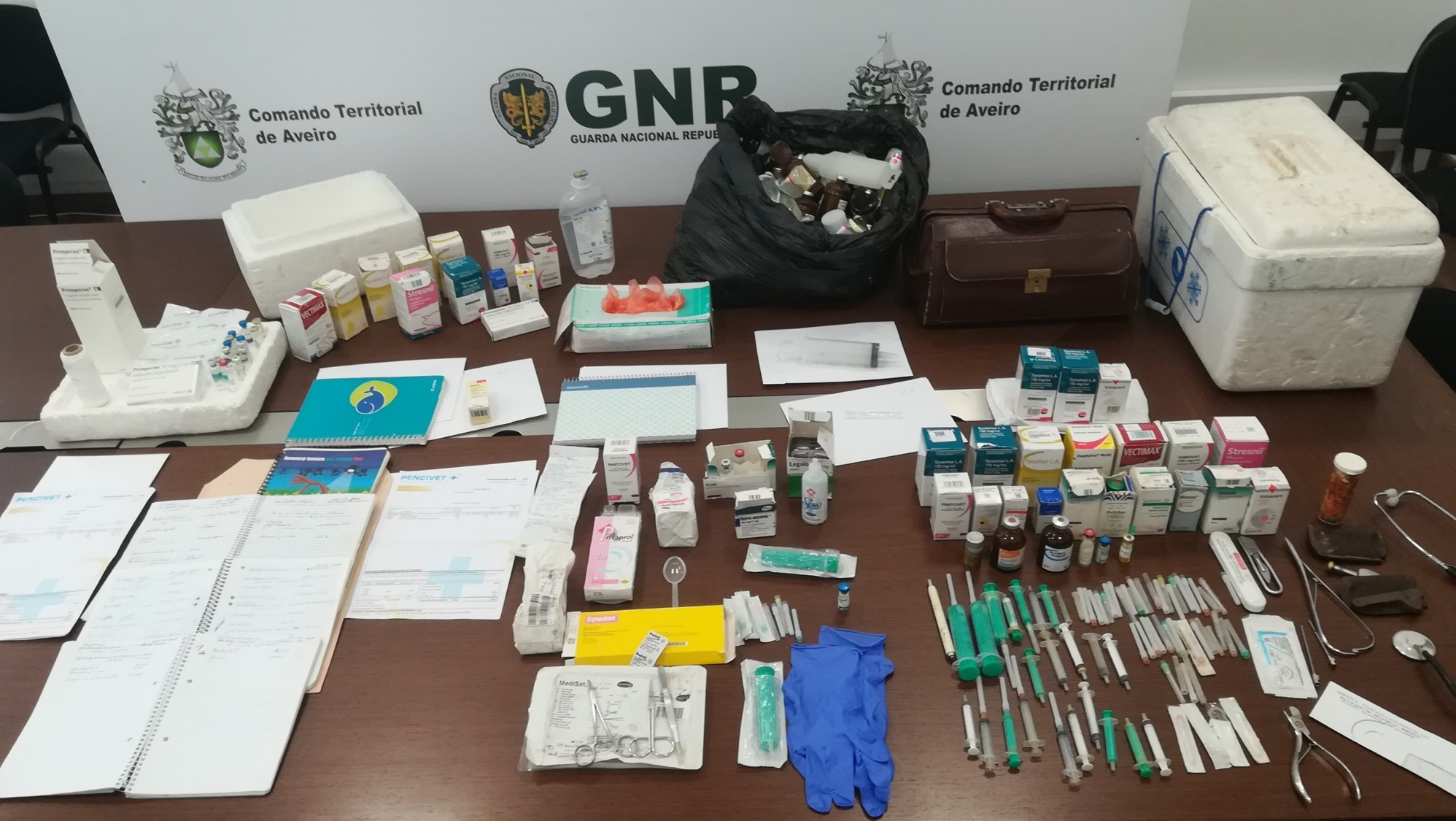 Foto de Oliveira do Bairro – Identificado falso veterinário por maus-tratos