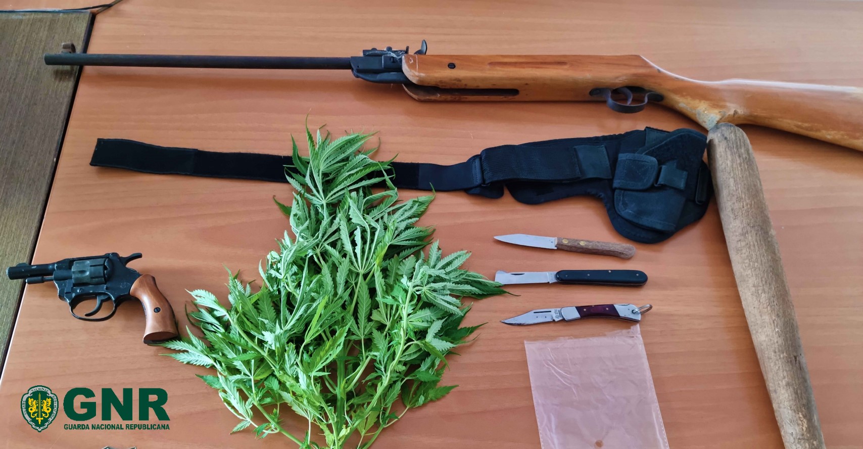 Foto de Pinhal Novo – Apreensão de armas