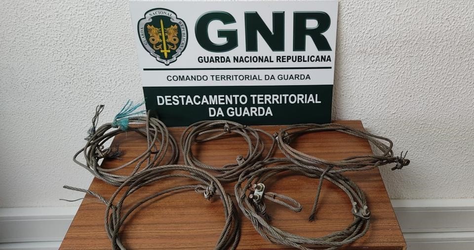 Foto de Guarda – Detido por caçar com meios proibidos