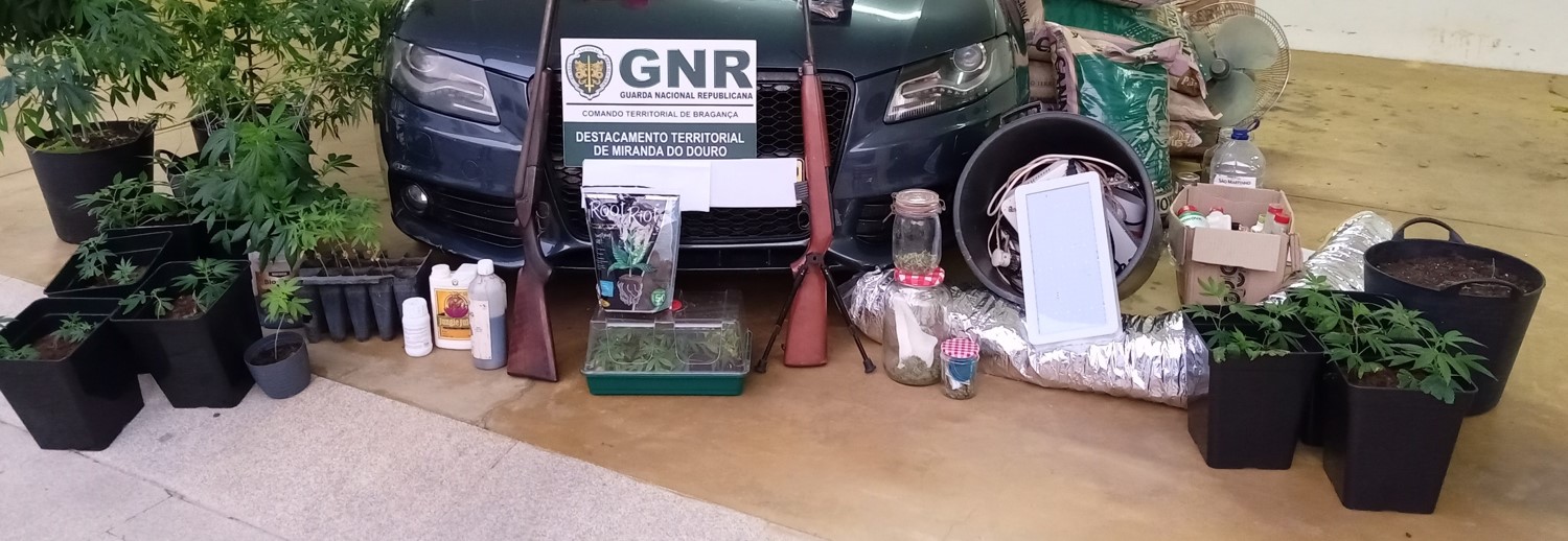Foto de Miranda do Douro - Detidos cinco suspeitos em rede de tráfico de droga