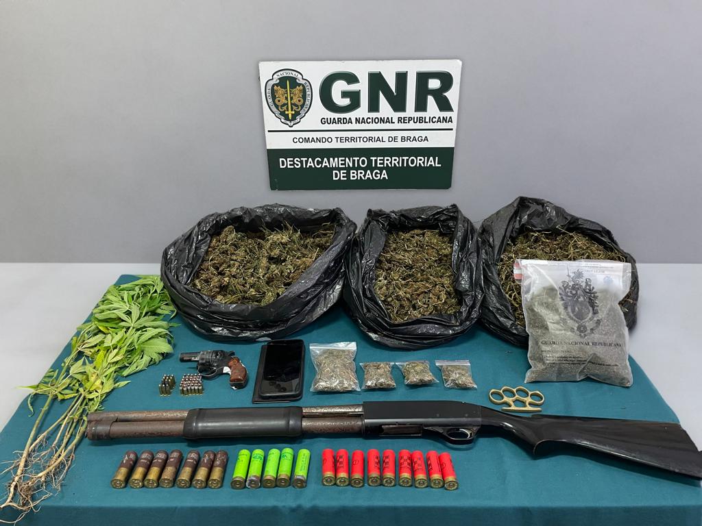 Foto de Braga – Detido por cultivo e tráfico com 793 doses de estupefacientes