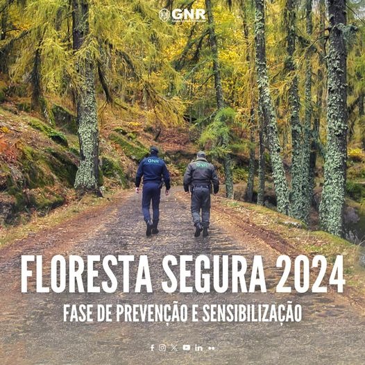 Floresta Segura 2024 – Balanço provisório  da Fase de Prevenção e Sensibilização