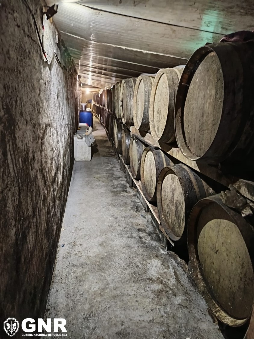 Armamar – Apreensão de mais de 7 mil litros de álcool e bebidas alcoólicas