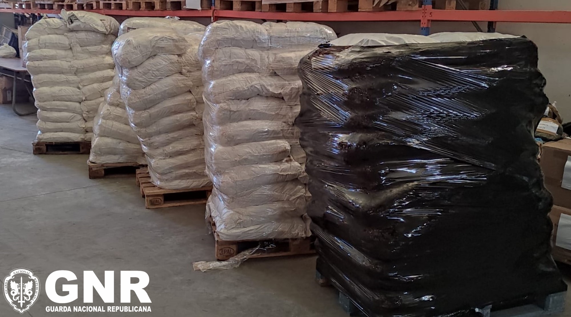 Caldas da Rainha – Apreensão de 2 150 quilos de tabaco de mascar