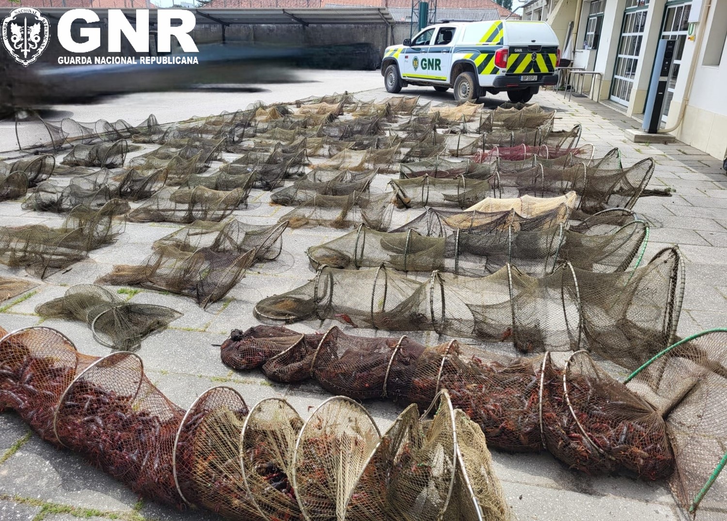 Golegã – Apreensão de 90 nassas de pesca em área de proteção
