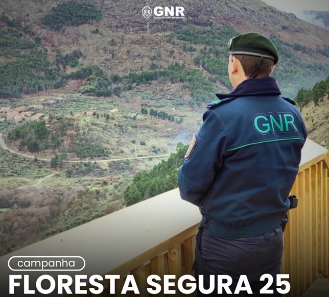 Foto de Ações de sensibilização no âmbito da Campanha “Floresta Segura 2025”