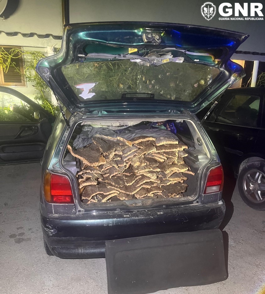 Setúbal – Detidos por posse de arma proibida e condução sem habilitação legal