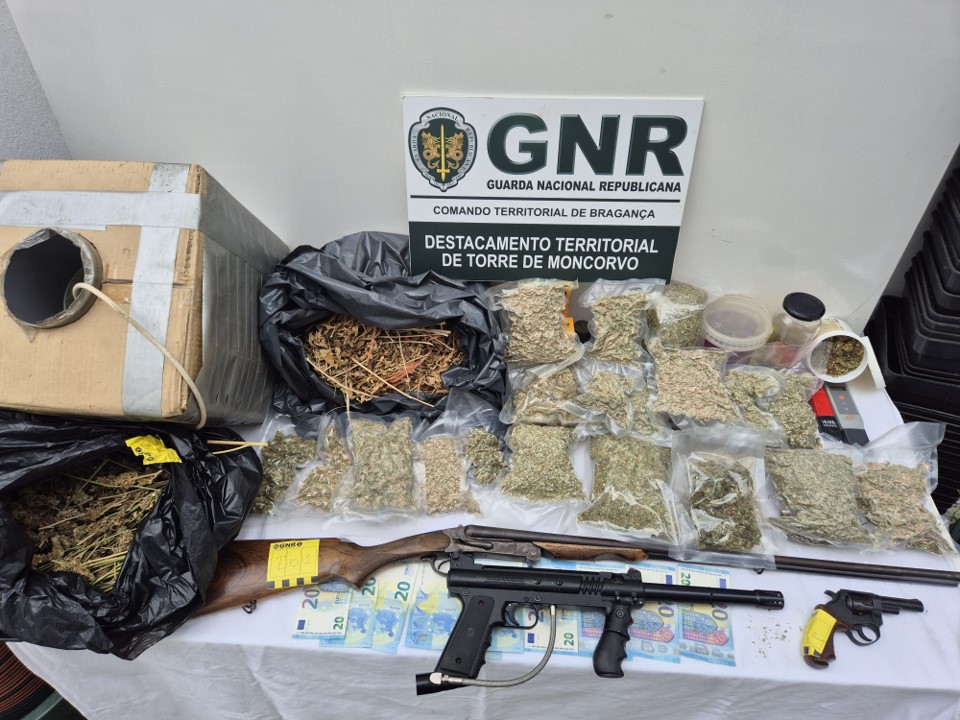 Freixo de Espada à Cinta – Detidos por tráfico de estupefacientes e posse ilegal de armas com apreensão de mais de 7 800 doses de canábis