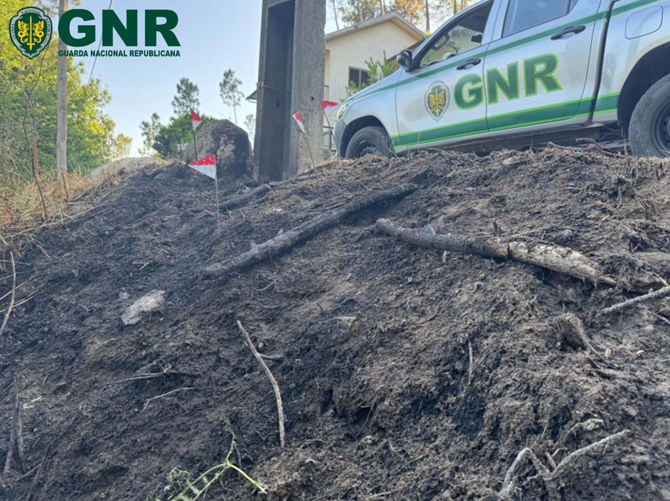 Castro Daire – Prisão preventiva por incêndio florestal