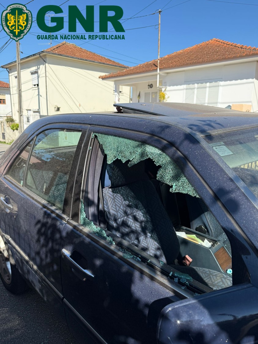 Santa Maria da Feira – Detido por furto em interior de veículo