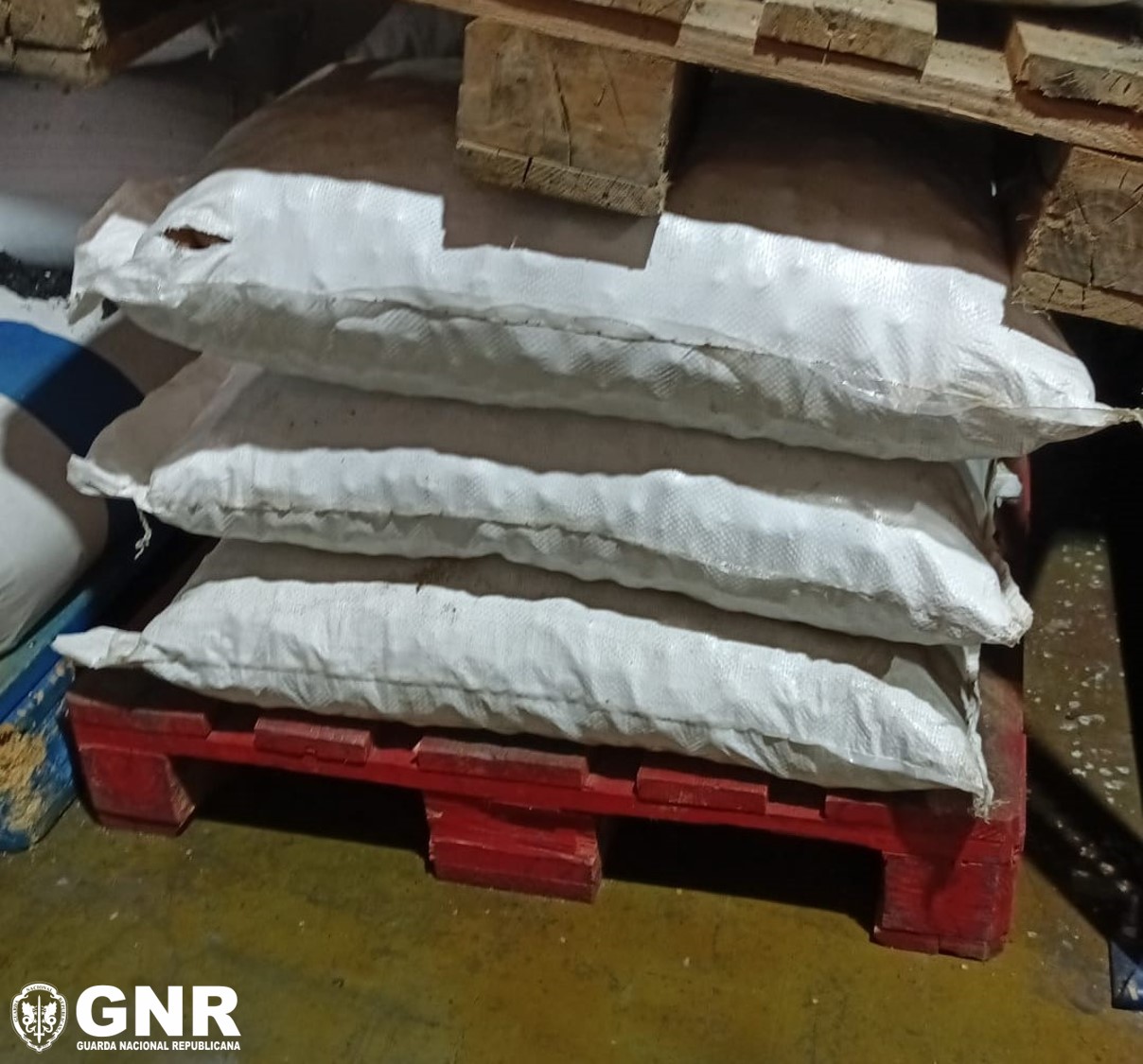 Loures – Apreensão de cerca de 350 quilos de noz de areca com substância psicoativa