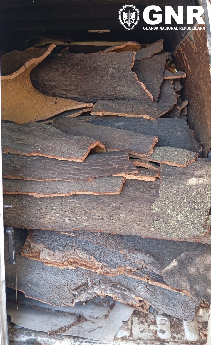 Foto de Coruche – Arguida por furto de cortiça