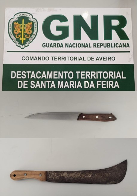 Santa Maria da Feira – Detido por violência doméstica