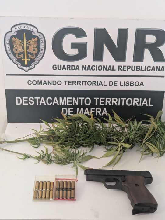 Mafra – Detida por tráfico de estupefacientes e posse ilegal de arma