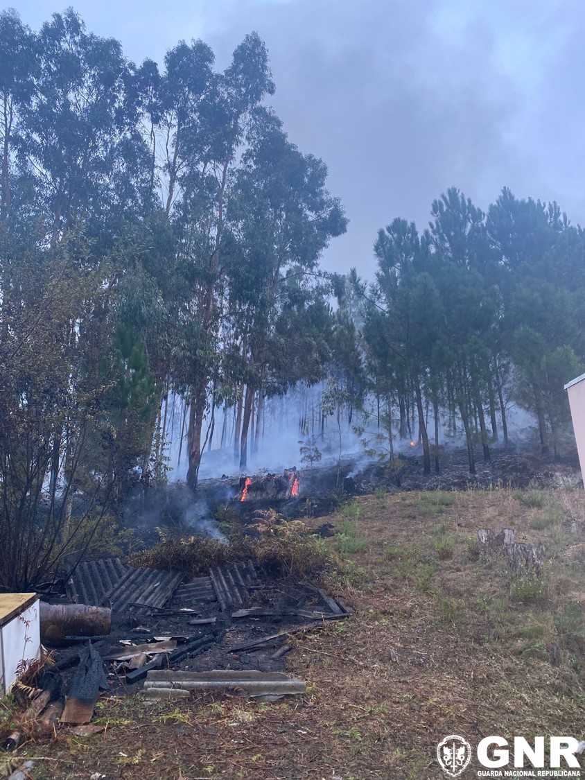 Leiria – Detido por incêndio florestal
