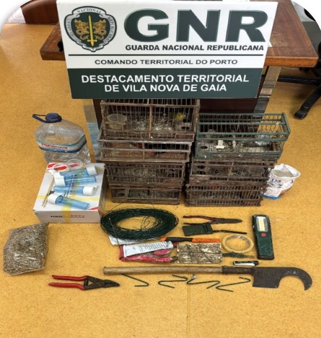 Gondomar – Detido em flagrante por danos contra a natureza