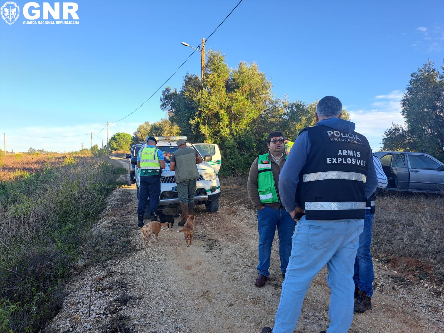 Cartaxo e Rio Maior – Operação interinstitucional no âmbito da fiscalização do ato venatório