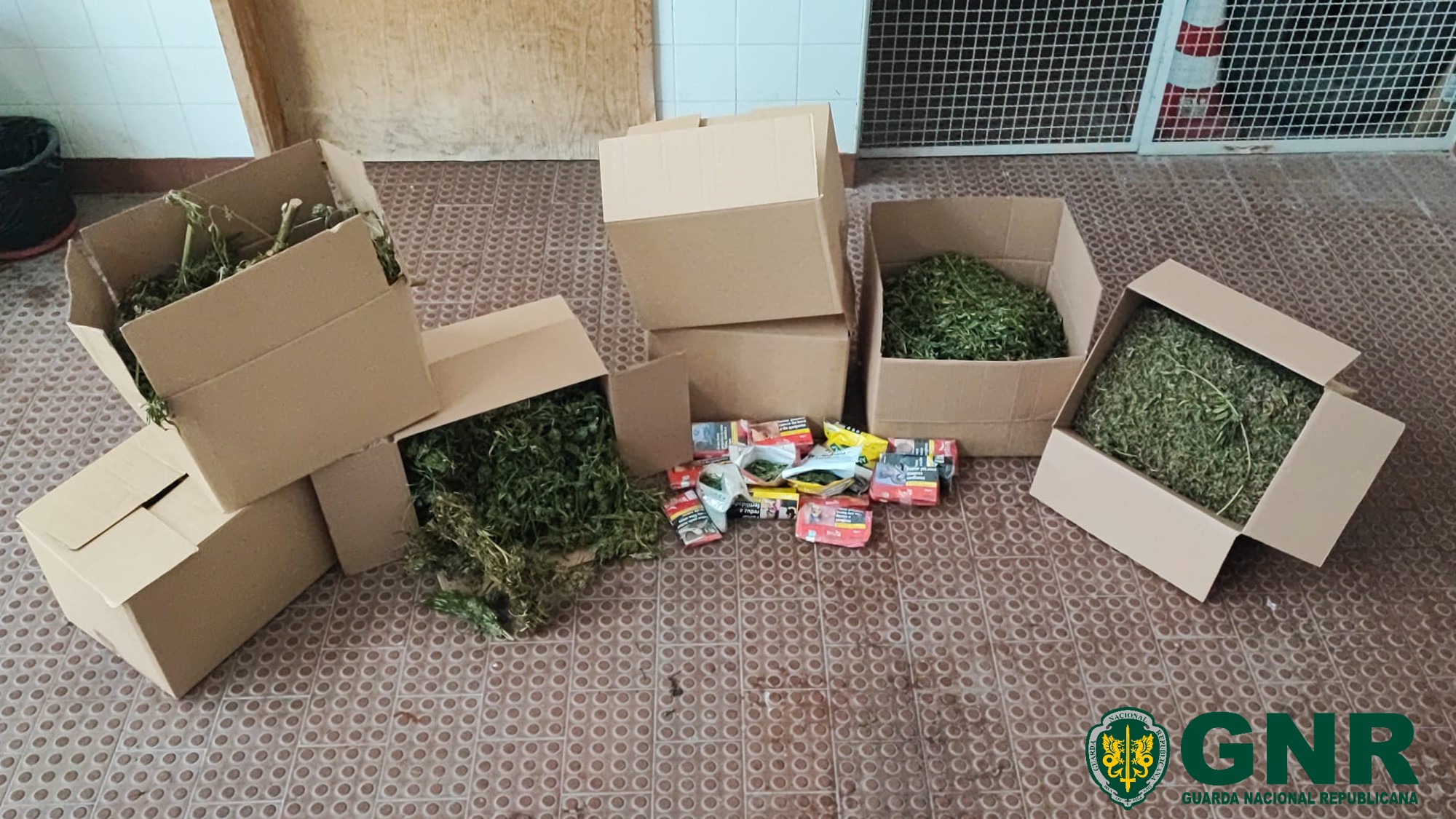 Rio Maior – Detido por tráfico com mais de 5 700 doses de estupefacientes

