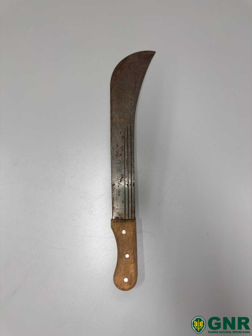 Azambuja – Detido por posse de arma proibida