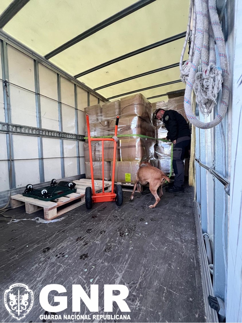 Operação “TRIBUTO IV” – GNR deteta mais de 350  infrações no transporte de mercadorias