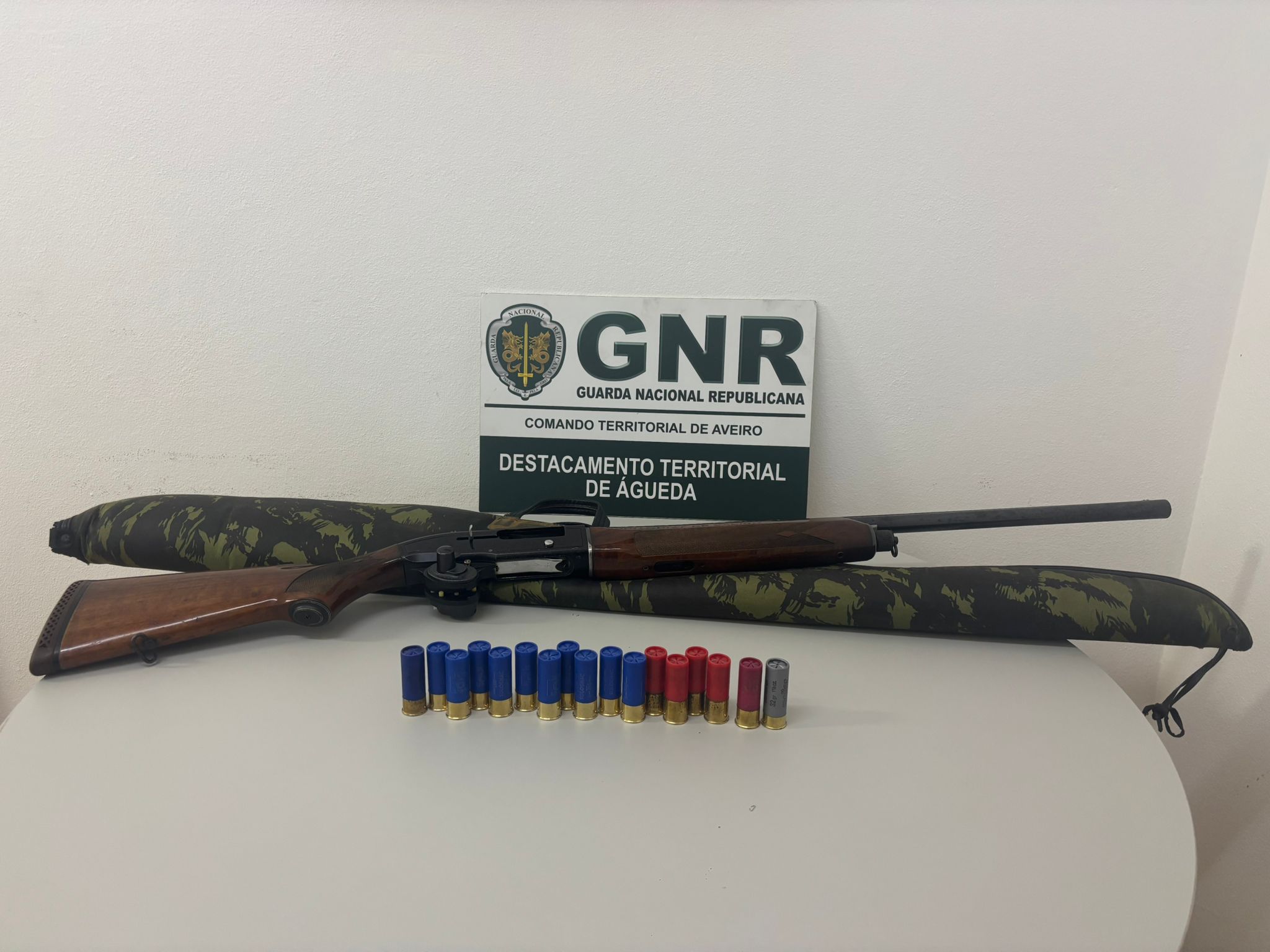 Albergaria-a-Velha – Detido em flagrante por caça em área de proteção