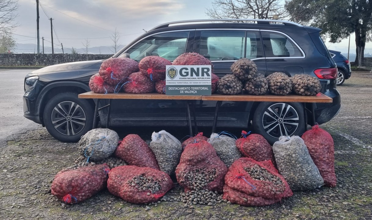 Valença – Apreensão de mais de uma tonelada de Bivalves