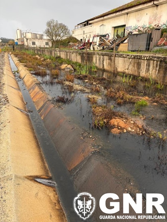 Bombarral – Detetada descarga ilegal de águas residuais industriais