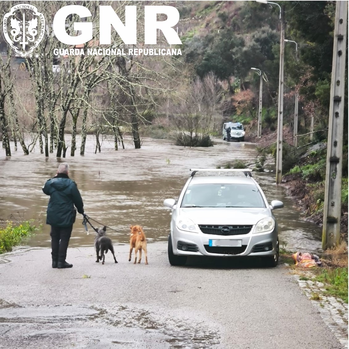 Gondomar – Evacuação de canídeos devido ao mau tempo