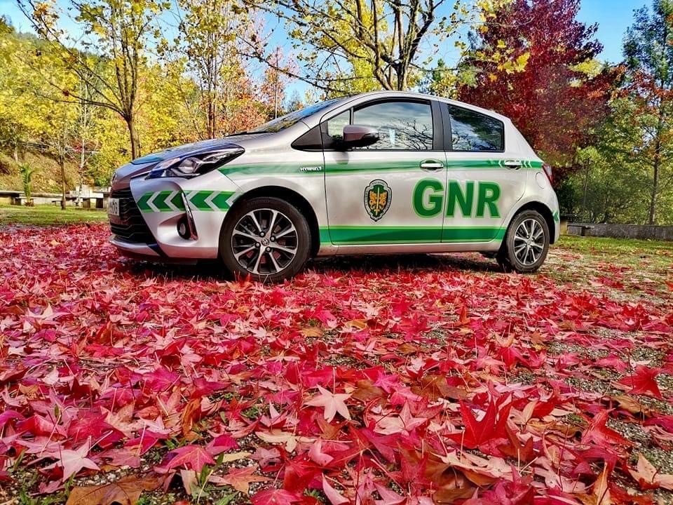 Vila Nova de Gaia – Três arguidos por furtos