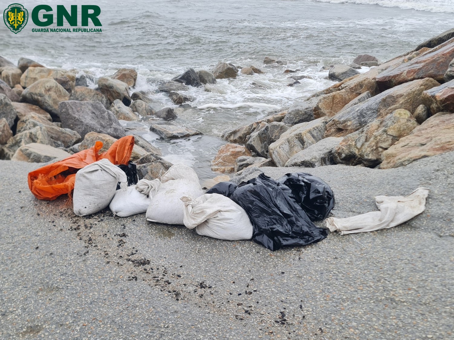 Ovar – Apreensão de cerca de 300 quilos de bivalves