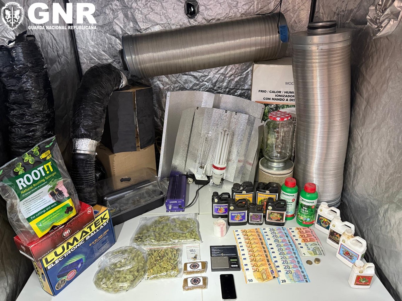 Mira de Aire – Detido por tráfico de estupefacientes