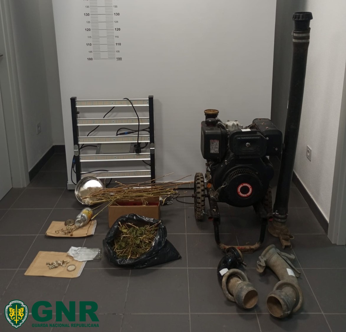 Peniche – Dois detidos por furto em terreno agrícola