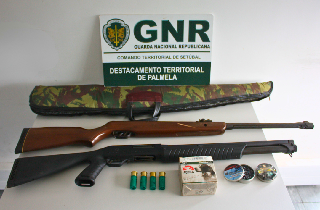 Palmela – Detido por ameaça agravada no cumprimento de mandado de busca domiciliária