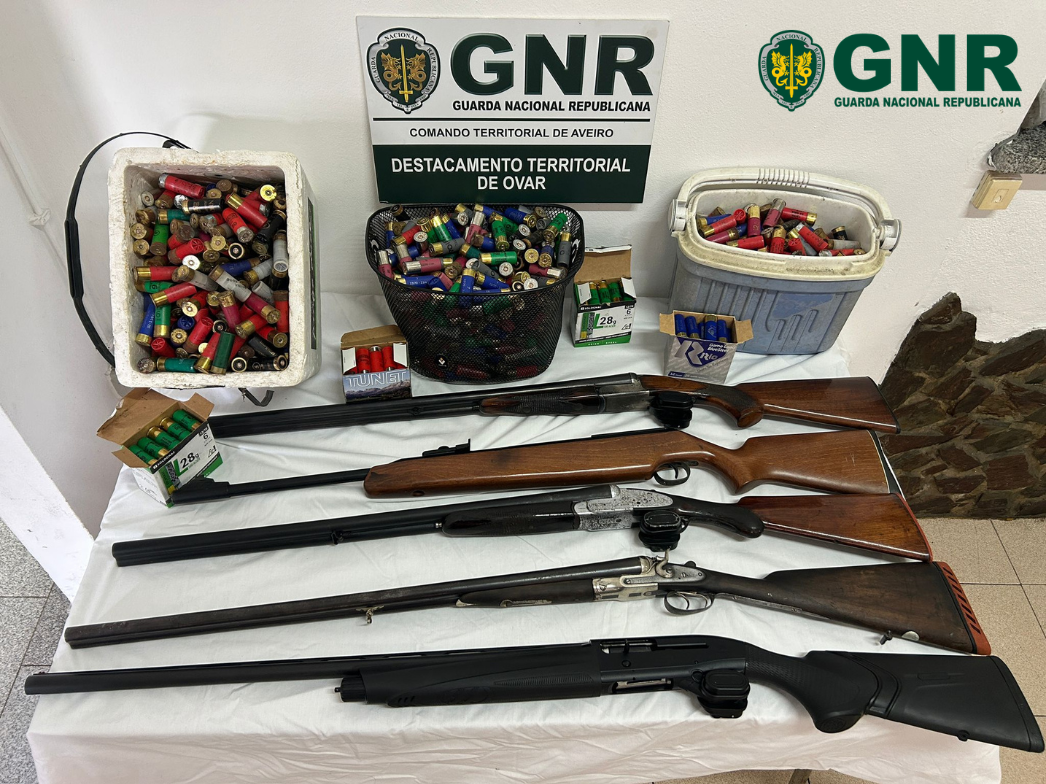 Murtosa – Apreensão de armas em contexto de violência doméstica