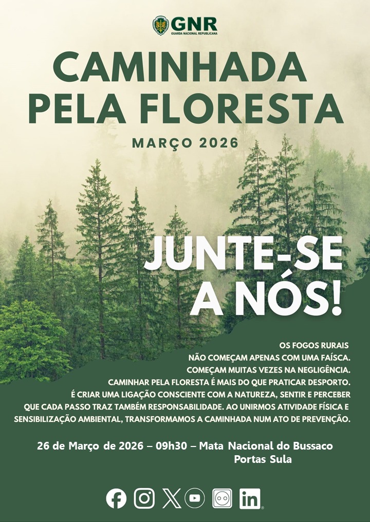 Foto de Anadia – Dia Mundial da Árvore e da Floresta – Caminhada pela Floresta 2026