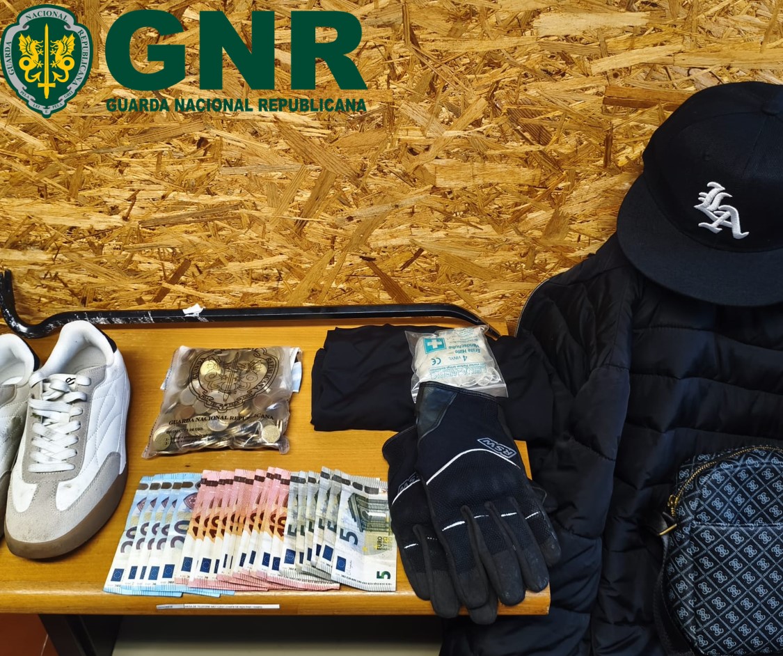 Maceira – Prisão preventiva por crimes de furto