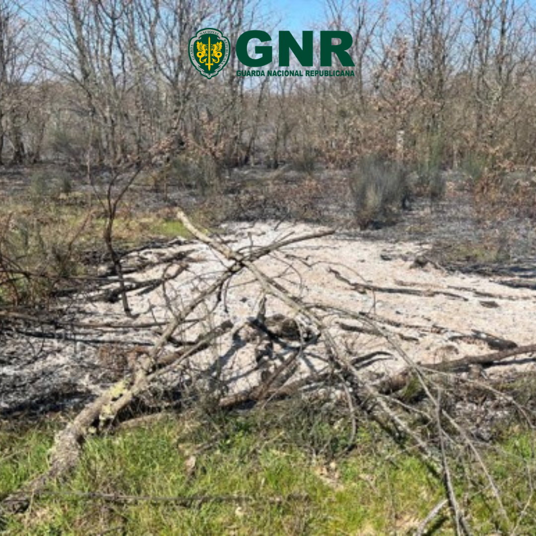 Sabugal – Arguido por incêndio florestal