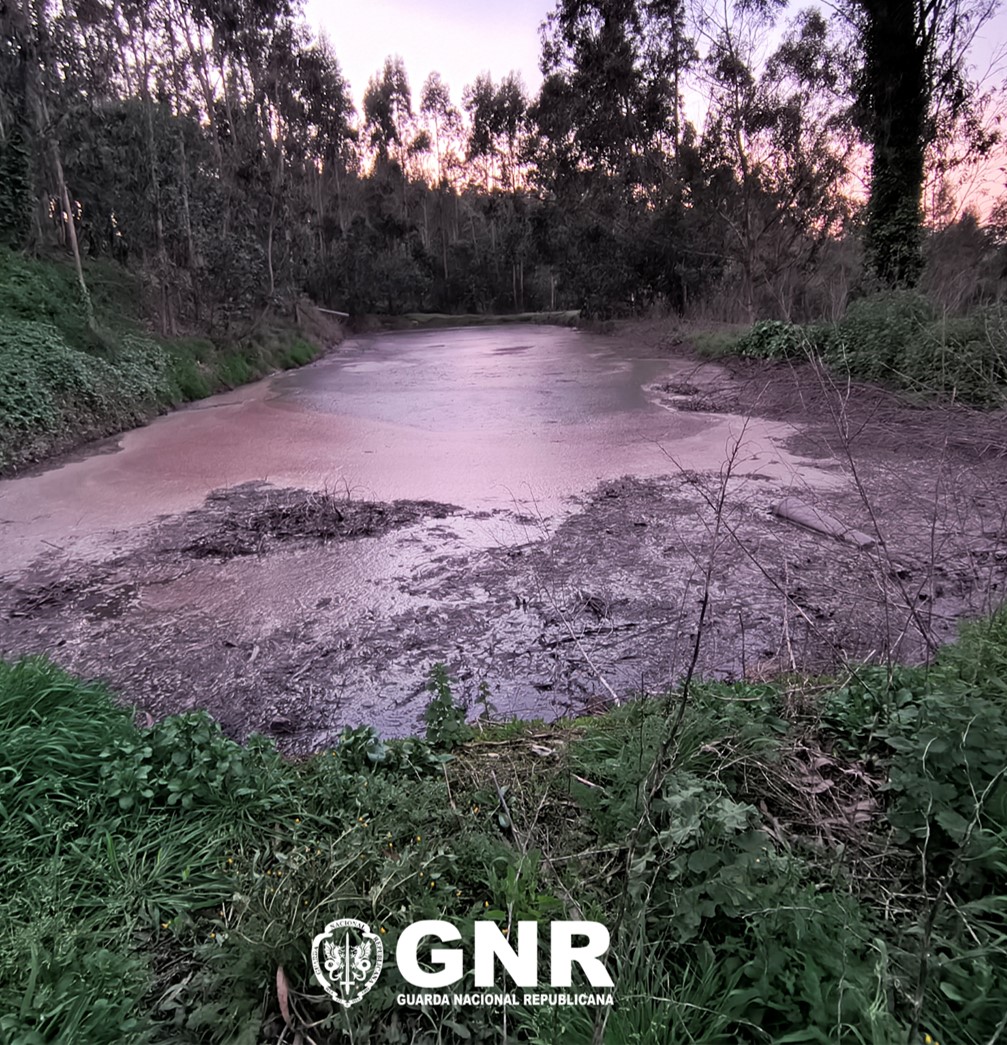 Caldas da Rainha – Detetada descarga ilegal de águas industriais