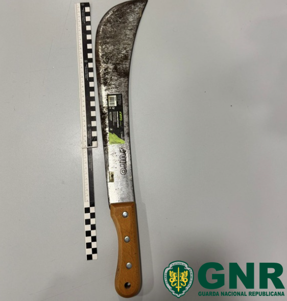 Mafra  – Detido em flagrante por posse de arma proibida