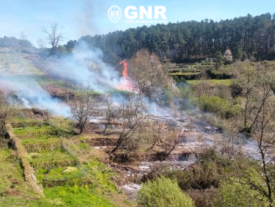 Vila Real – Detido por incêndio florestal