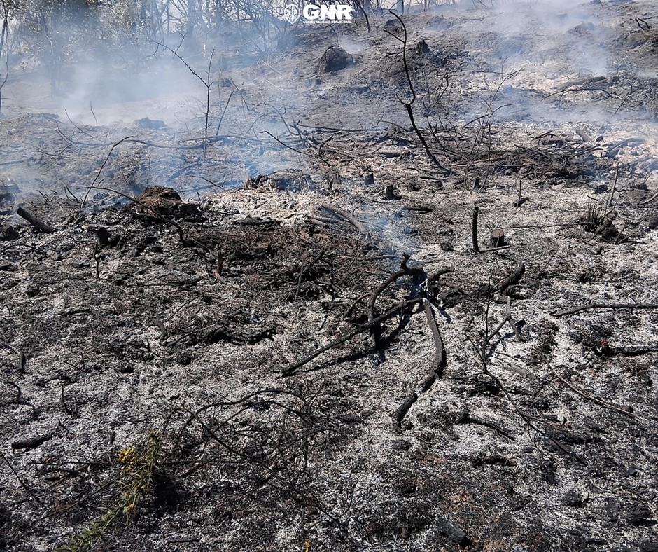 Tarouca – Detido por incêndio florestal