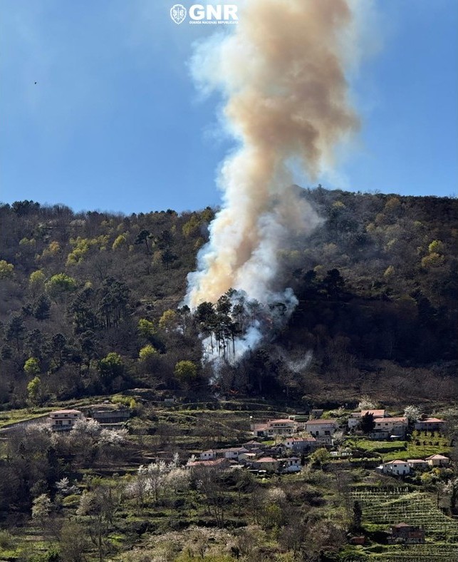 Resende – Detido por incêndio florestal