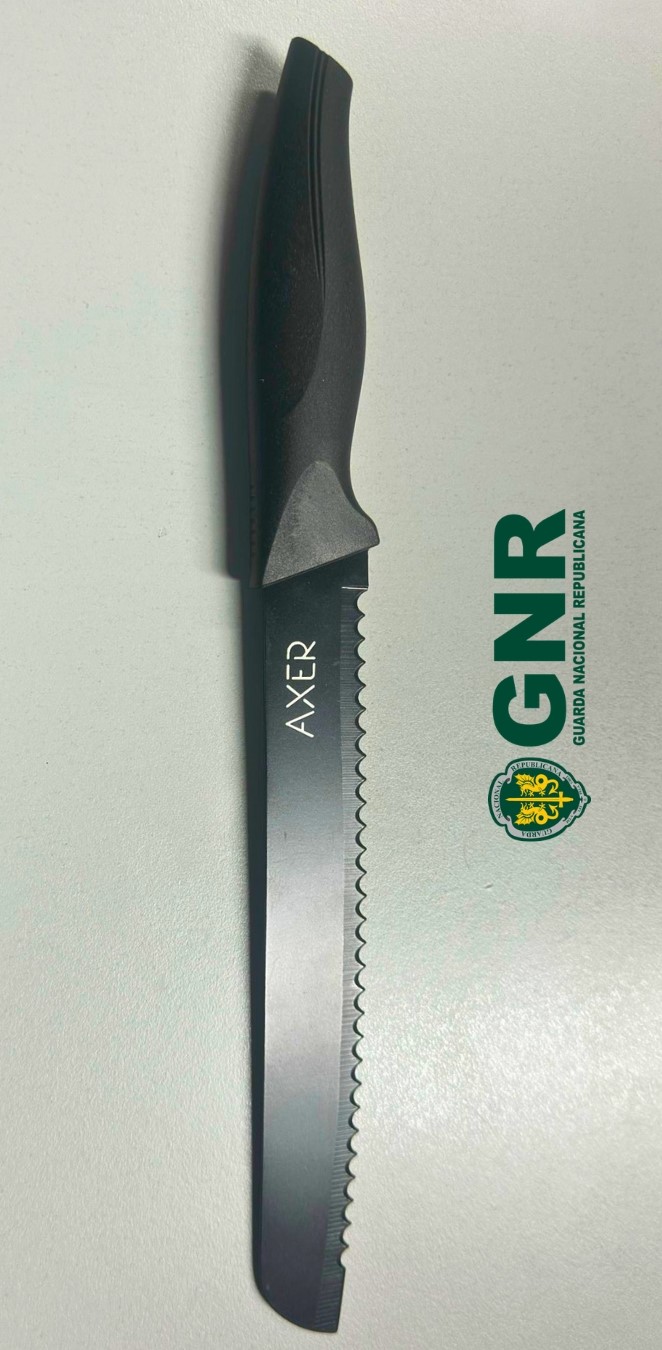 Almada – Detido por roubo na via pública